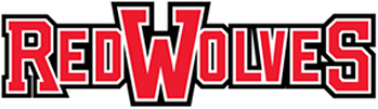 Arkansas State Red Wolves 2008-Pres Wordmark Logo diy DTF decal sticker